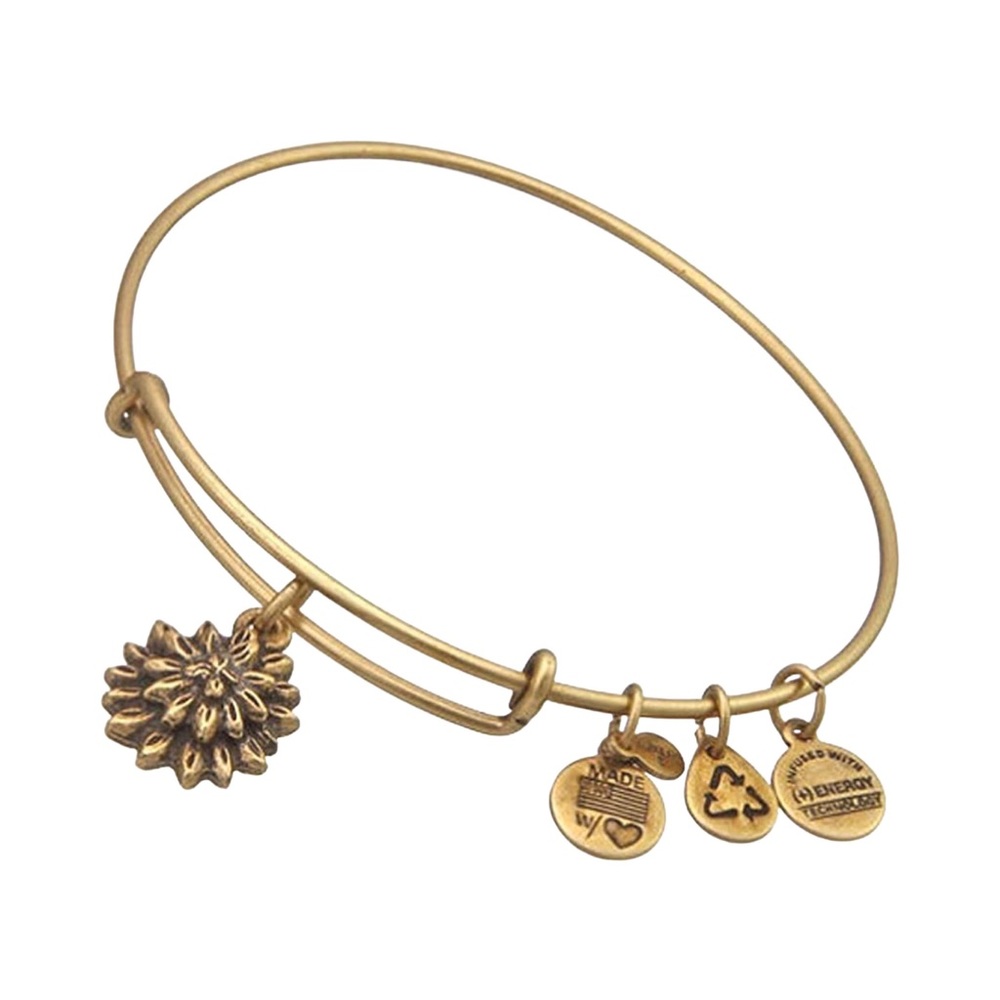 new Alex and Ani ꥟ Sacred Garden - Water Lily Charm Bangle Bracelet ꥟ Gold - Picture 1 of 14